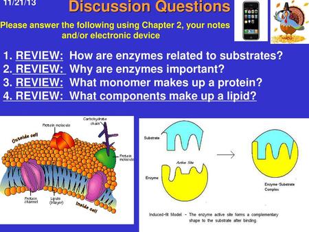 Discussion Questions 1. REVIEW: How are enzymes related to substrates?