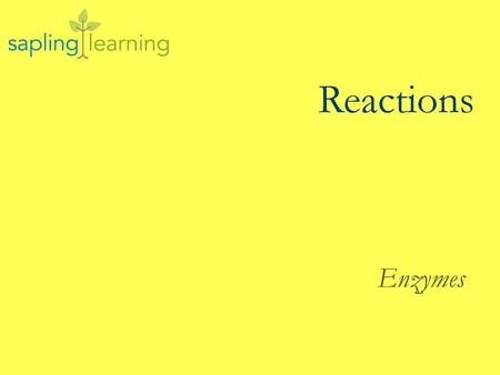 Reactions Reactions - Enzymes Enzymes.