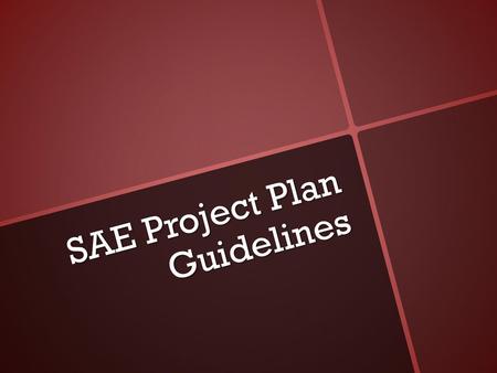 SAE Project Plan Guidelines