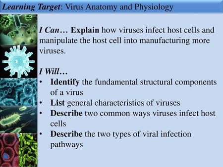 Learning Target: Virus Anatomy and Physiology