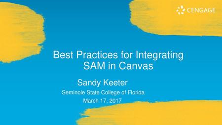Best Practices for Integrating SAM in Canvas