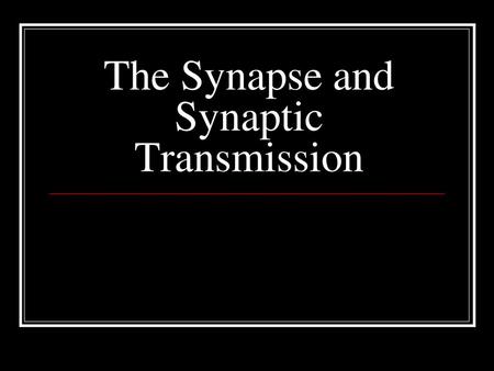 The Synapse and Synaptic Transmission