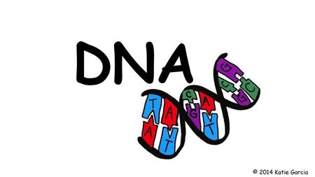 DNA © 2014 Katie Garcia.