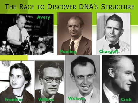 The Race to Discover DNA’s Structure