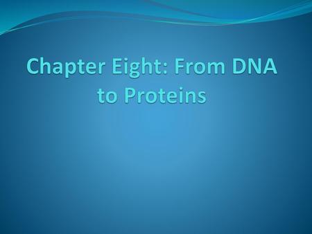 Chapter Eight: From DNA to Proteins