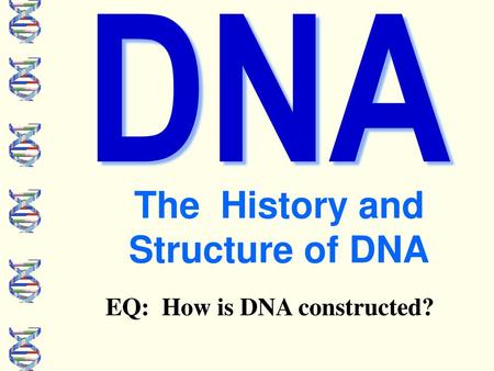 The History and Structure of DNA
