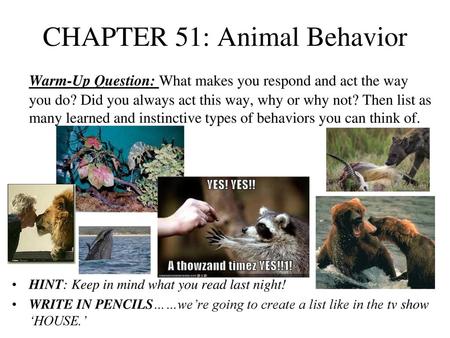 CHAPTER 51: Animal Behavior