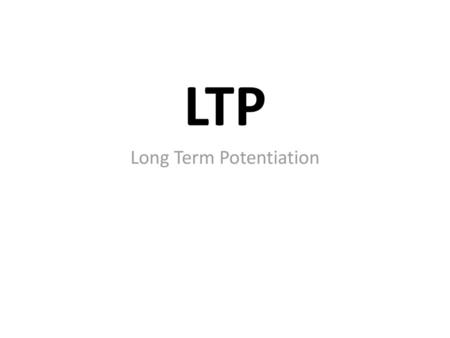 Long Term Potentiation