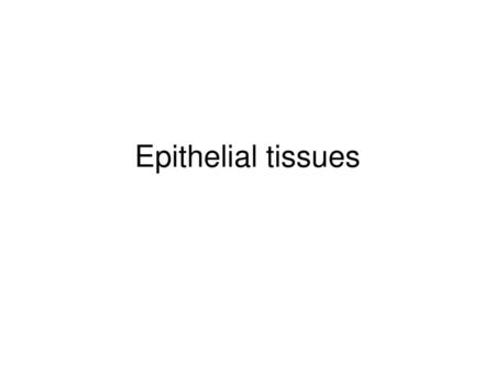 Epithelial tissues.