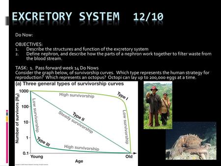 Excretory System 12/10 Do Now: OBJECTIVES: