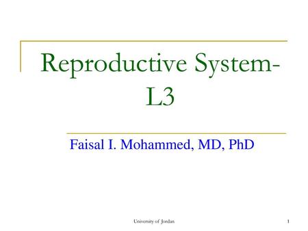 Reproductive System-L3