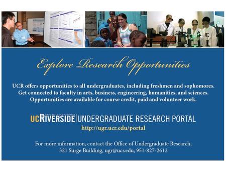 Undergraduate Research Portal