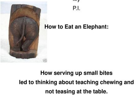 How serving up small bites led to thinking about teaching chewing and