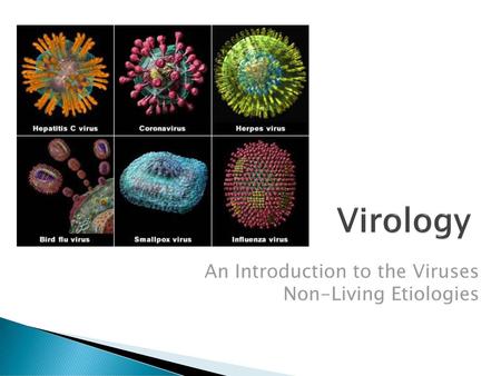 An Introduction to the Viruses Non-Living Etiologies