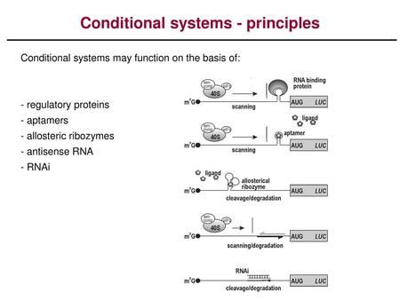 Conditional systems - principles
