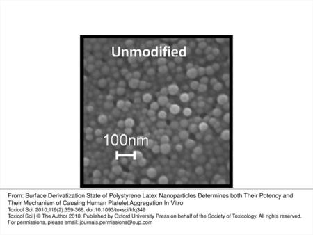 FIG. 1. Scanning electronic microscope image of the unmodified beads; all the bead samples were identical in appearance and size to the unmodified shown.