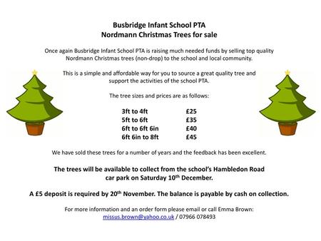 Busbridge Infant School PTA Nordmann Christmas Trees for sale
