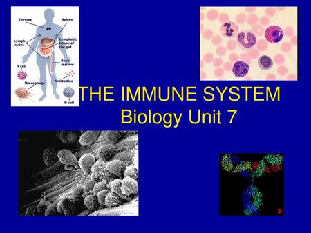 THE IMMUNE SYSTEM Biology Unit 7