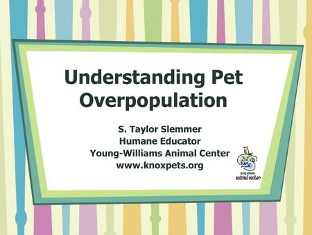 Understanding Pet Overpopulation
