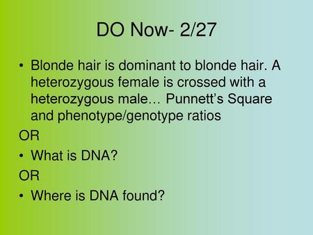 DO Now- 2/27 Blonde hair is dominant to blonde hair. A heterozygous female is crossed with a heterozygous male… Punnett’s Square and phenotype/genotype.