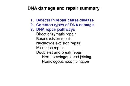 DNA damage and repair summary