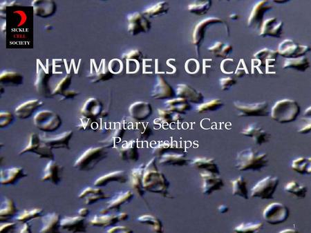 Voluntary Sector Care Partnerships