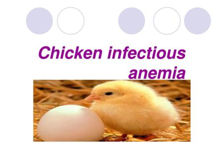 Chicken infectious anemia