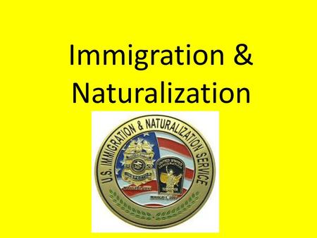 Immigration & Naturalization