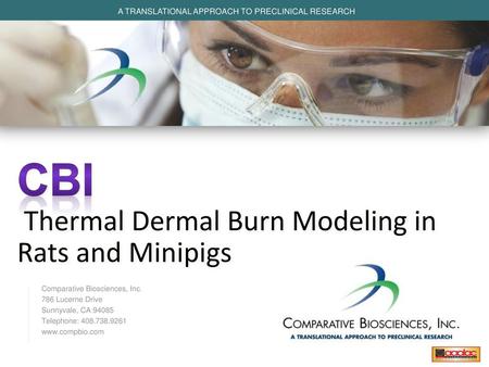CBI Thermal Dermal Burn Modeling in Rats and Minipigs