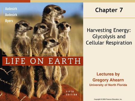 Harvesting Energy: Glycolysis and Cellular Respiration