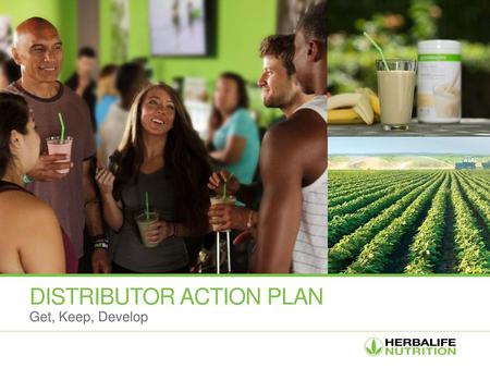 Distributor action plan