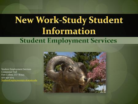 New Work-Study Student Information