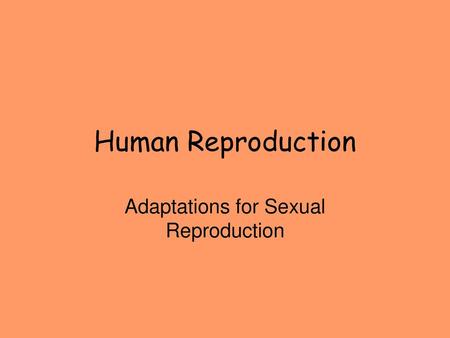 Adaptations for Sexual Reproduction