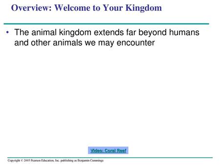 Overview: Welcome to Your Kingdom