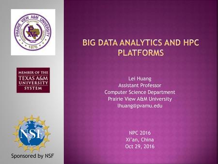 Big Data Analytics and HPC Platforms