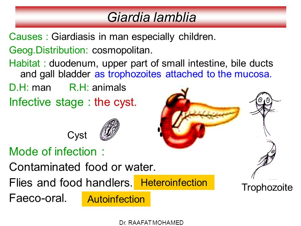 giardia water infection