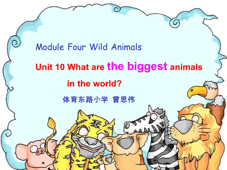 Module Four Wild Animals Unit 10 What are the biggest animals in the world?  - ppt download