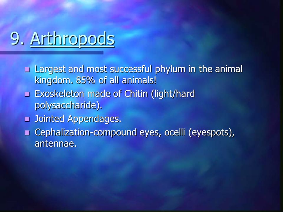 9. Arthropods Largest and most successful phylum in the animal kingdom. 85%  of all animals! Exoskeleton made of Chitin (light/hard polysaccharide).  Jointed. - ppt video online download