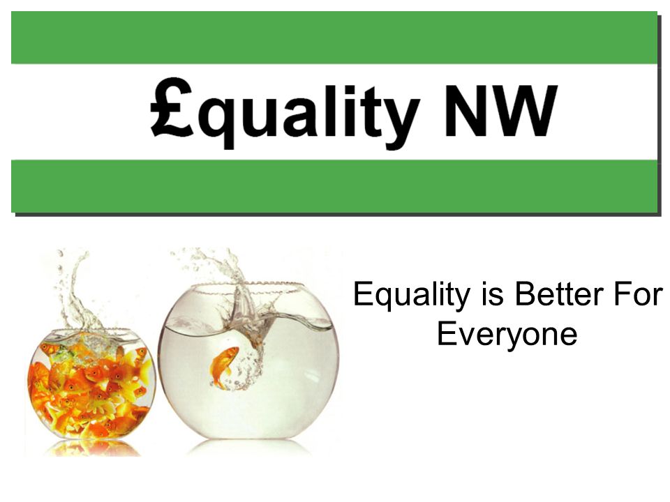 Equality is Better For Everyone. Who Are We? Affiliated to the Equality  Trust. Working to reduce Income Inequality across the UK. - ppt download