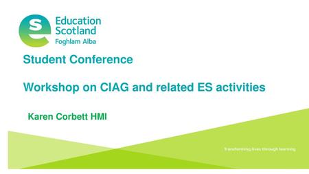 Workshop on CIAG and related ES activities