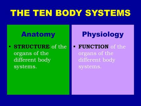 THE TEN BODY SYSTEMS Anatomy Physiology