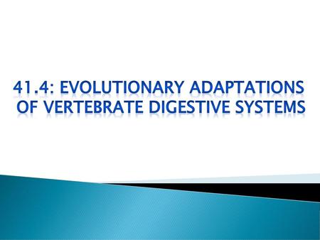 41.4: evolutionary adaptations Of vertebrate digestive systems
