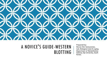 A novice's guide-WESTERN BLOTTING