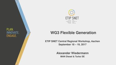 WG3 Flexible Generation