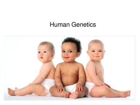 Human Genetics.