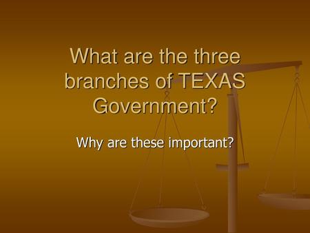 What are the three branches of TEXAS Government?