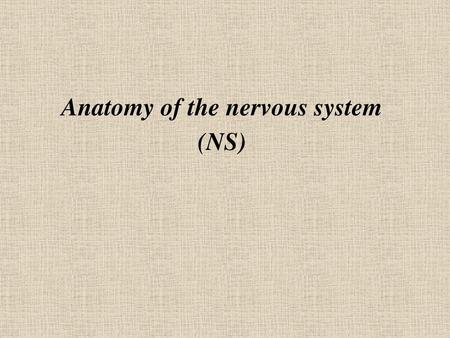 Anatomy of the nervous system (NS)