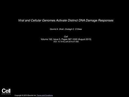 Viral and Cellular Genomes Activate Distinct DNA Damage Responses