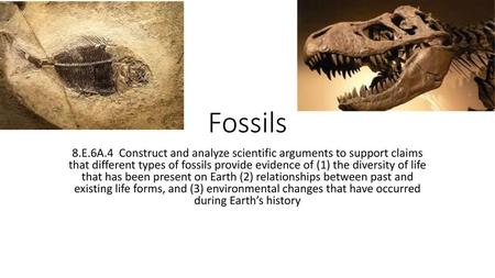 Fossils 8.E.6A.4 Construct and analyze scientific arguments to support claims that different types of fossils provide evidence of (1) the diversity of.