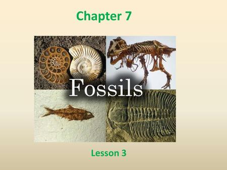 Chapter 7 Lesson 3.